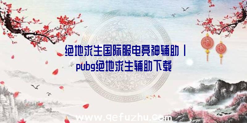 「绝地求生国际服电竞神辅助」|pubg绝地求生辅助下载